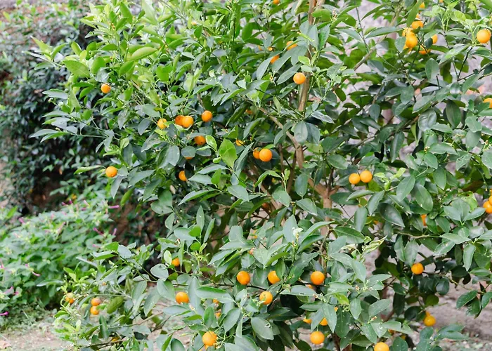 Pensionat Au Jardin De Florens